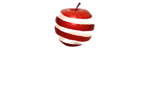 Awake logo final art centered wht 10 03