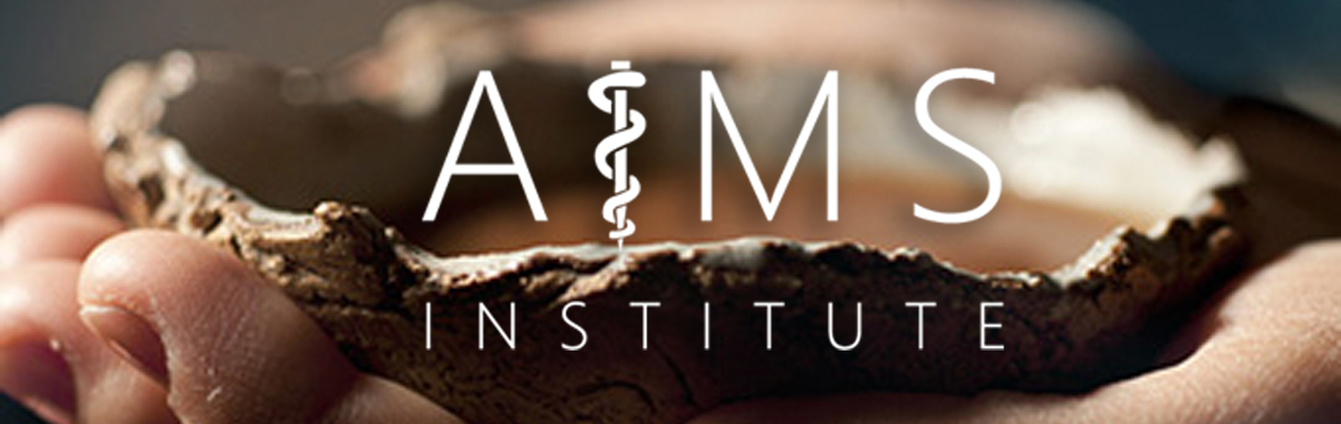 AIMS Institute